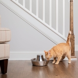 Drikkefontene til katt test: De 10 beste drikkefontenene (desember 2025)