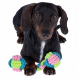 Hundeleker test: De 12 beste hundelekene (desember 2025)